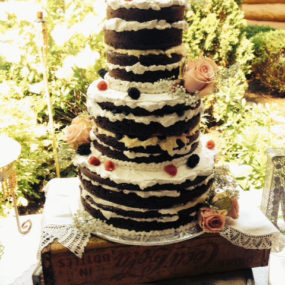 Naked Wedding Cake